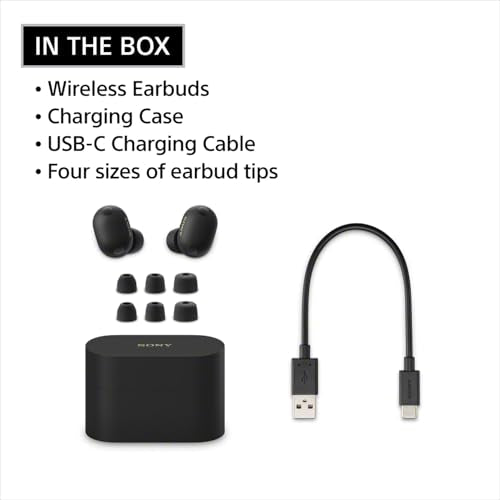 Sony WF-1000XM6 Wireless Noise Cancelling Earbuds