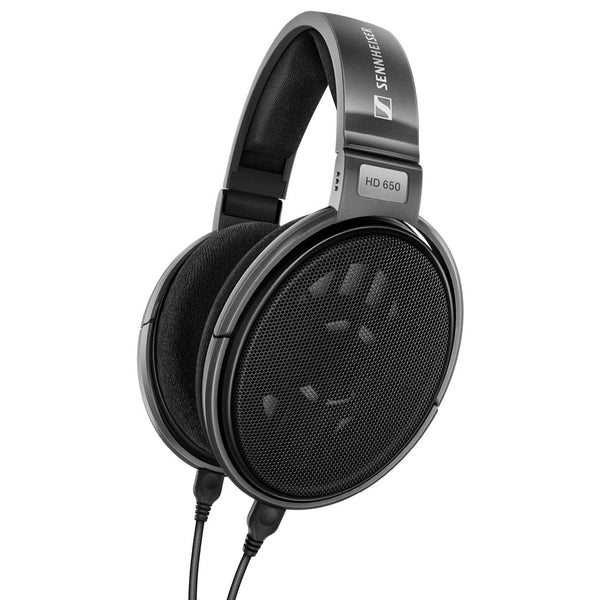 Sennheiser Consumer Audio HD