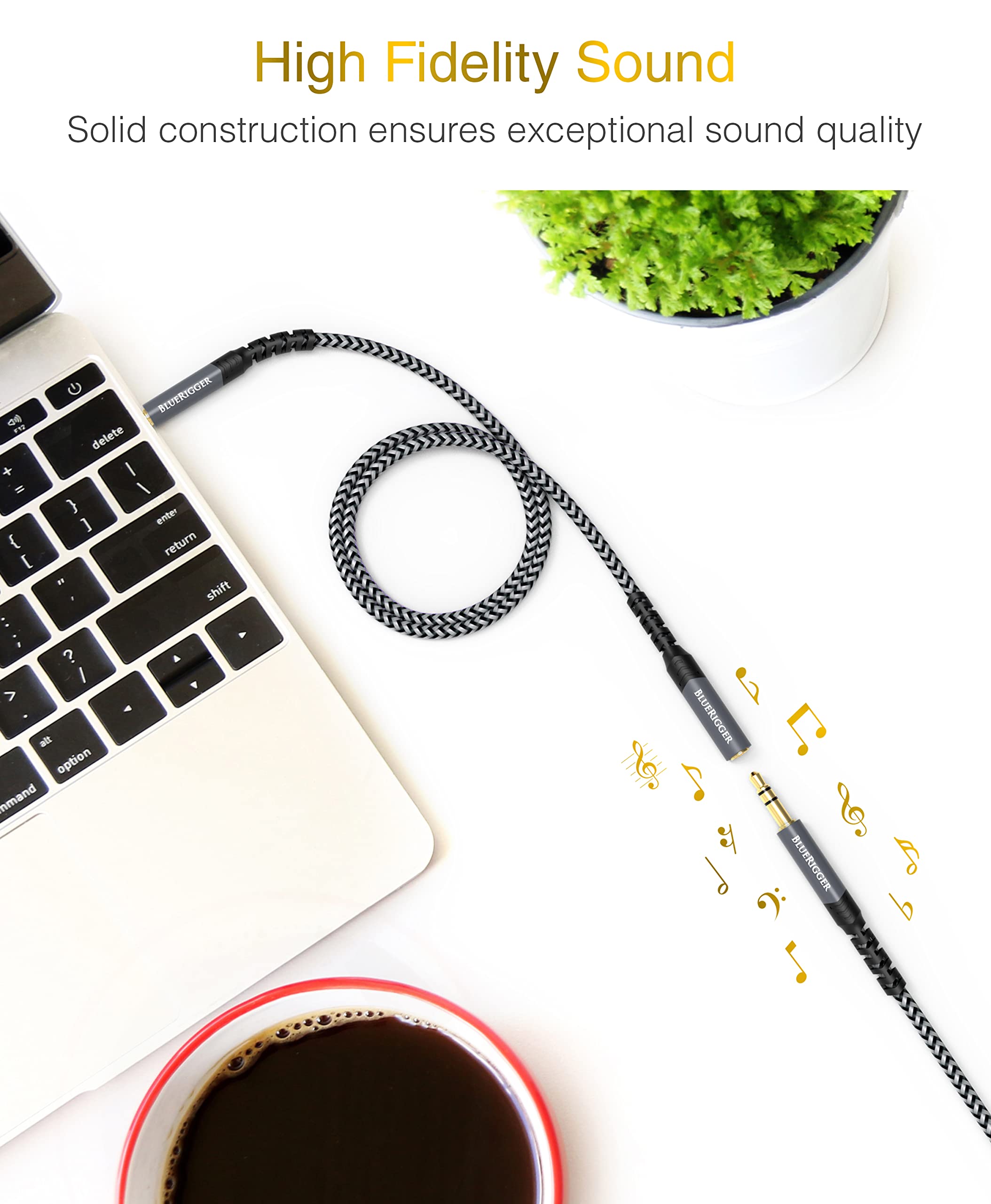BlueRigger 3.5mm Stereo Audio Extension Cable
